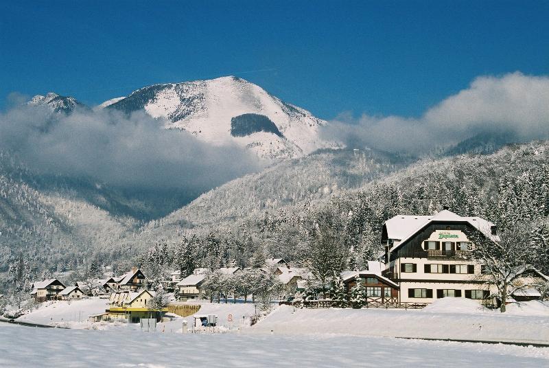 Hotel Oskar Zaplata Preddvor Buitenkant foto
